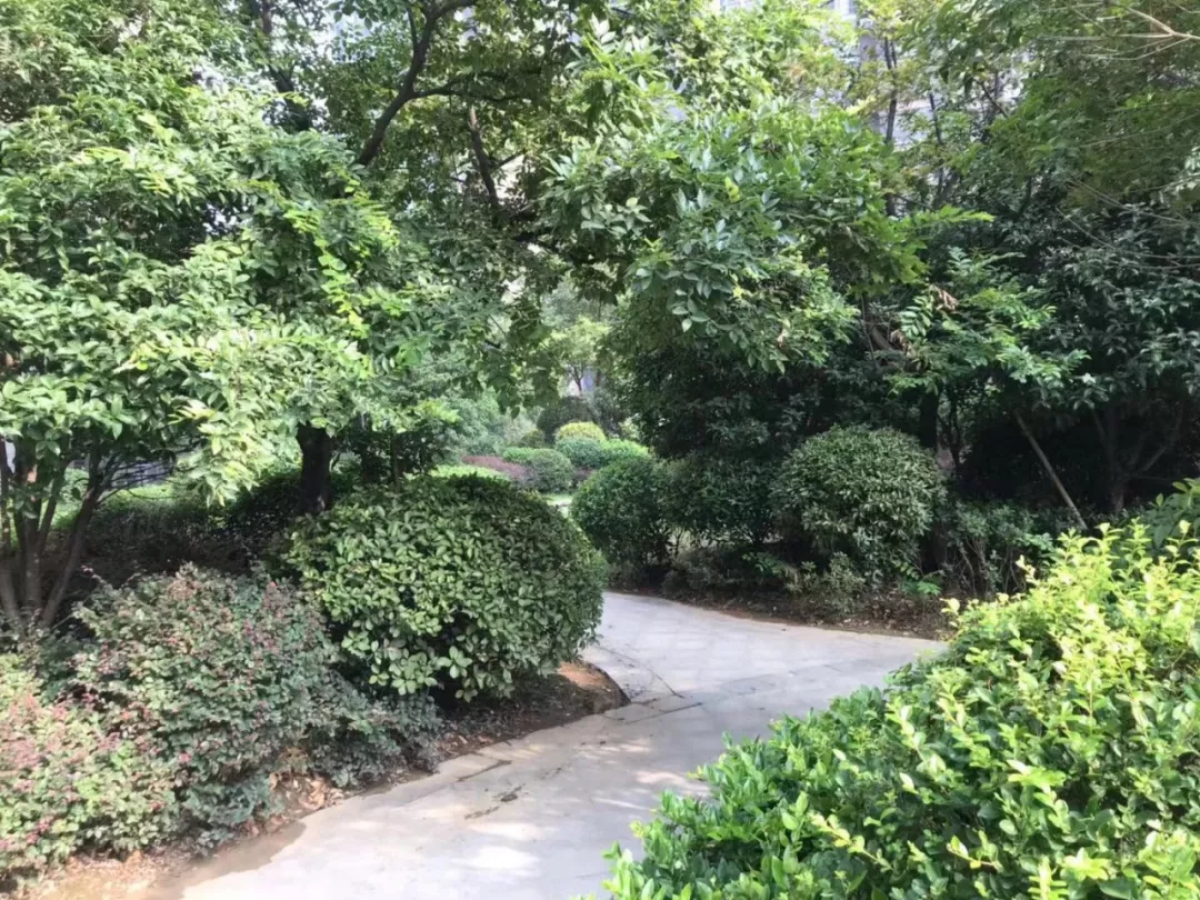 阜阳物业费排行Top6曝光！1.38元/㎡随处可见，最贵1.8元/㎡？